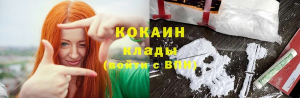 хмурый Арсеньев