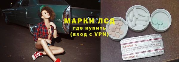 хмурый Арсеньев
