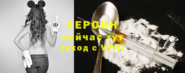 хмурый Арсеньев