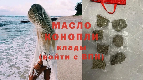 хмурый Арсеньев