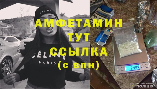 хмурый Арсеньев