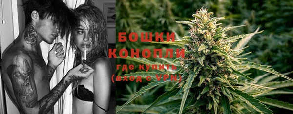 хмурый Арсеньев