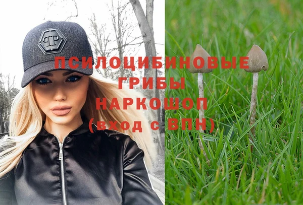 метадон Рославль