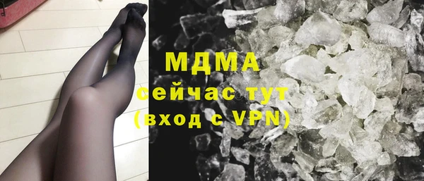 хмурый Арсеньев