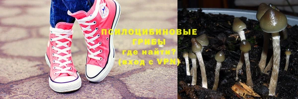 хмурый Арсеньев