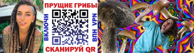 Галлюциногенные грибы прущие грибы Нея