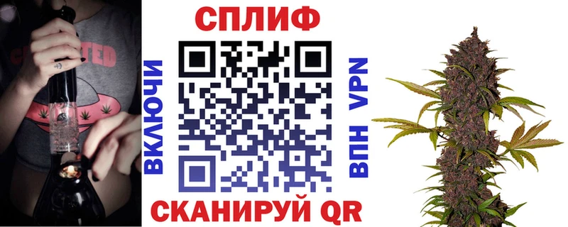 Бошки Шишки семена Нея