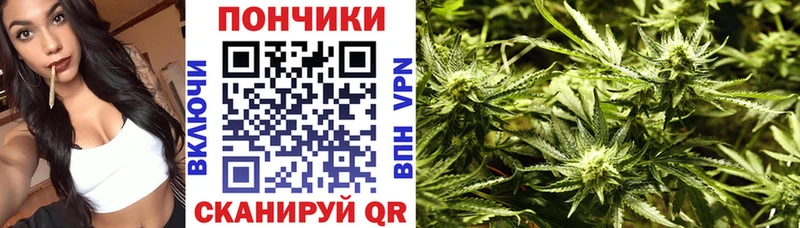 как найти закладки  Нея  Каннабис VHQ 